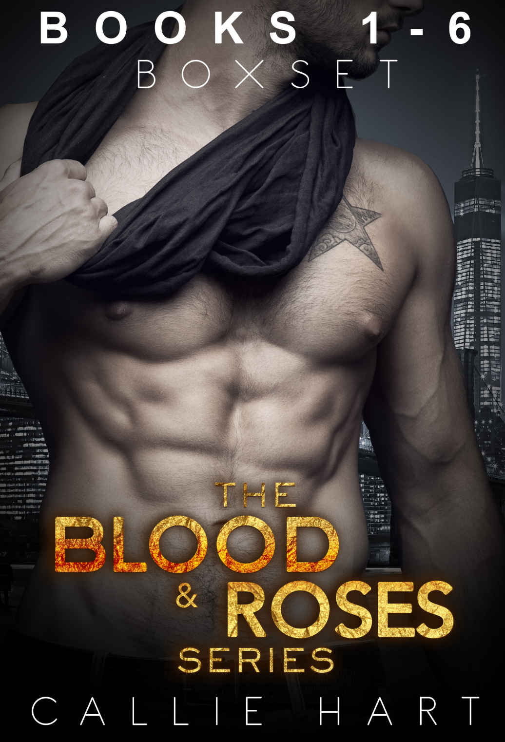 The Blood & Roses Series Box Set: Books 1-6